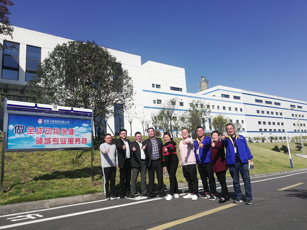 老澳门开门奖结果查询
